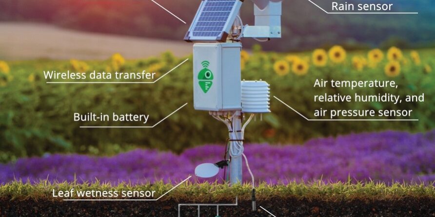 Weather Station Weather Station